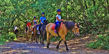 Kids Pony Ride at Domaine de Etoile